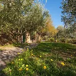 Piccola Oasi 3 By Interhome Nyaraló Capoliveri